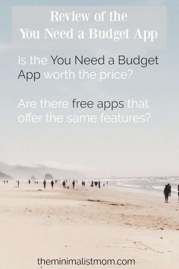 review of you need a budget